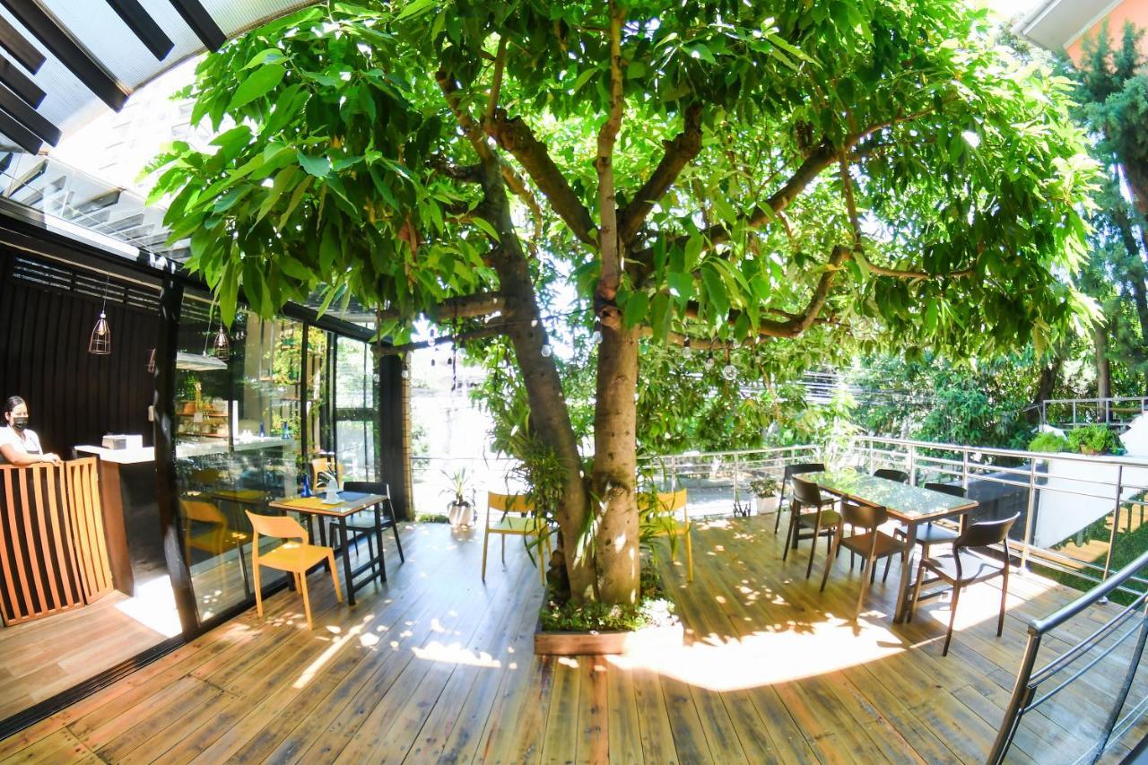 Kaleo Hotel Boutique San Salvador Exterior photo